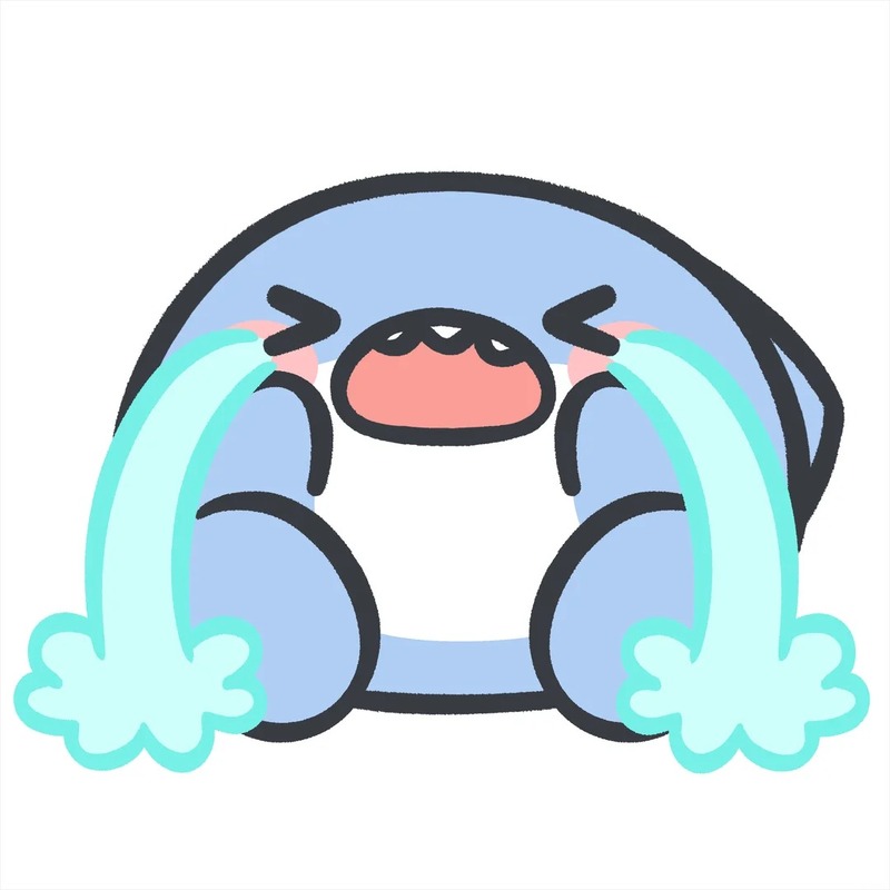 cute hình cá mập chibi 37