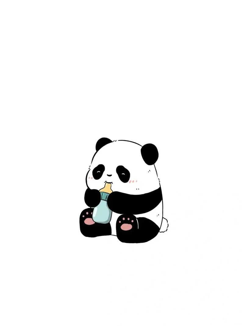 gấu trúc chibi cute 16