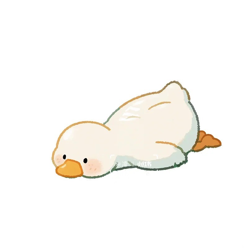 vịt cute chibi 28