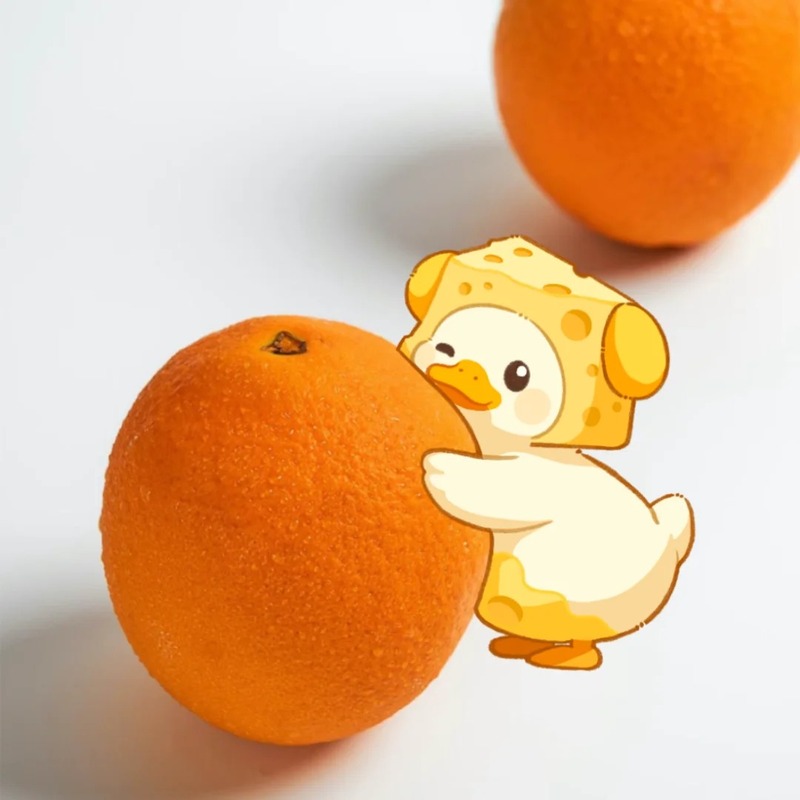 vịt cute chibi 38